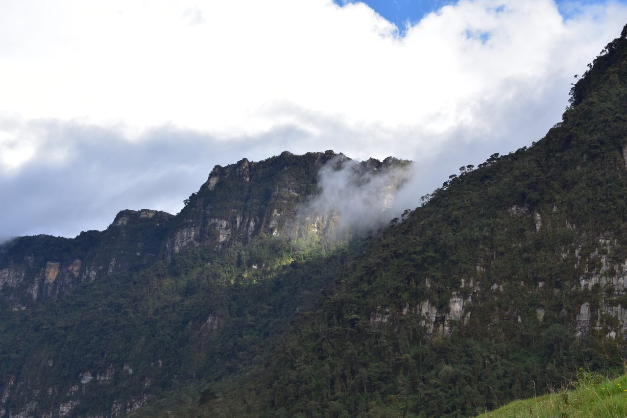 Enjoy the natural wonders of the high Andean Cloud Forest at Cuchilla El Tablazo, Bogotá