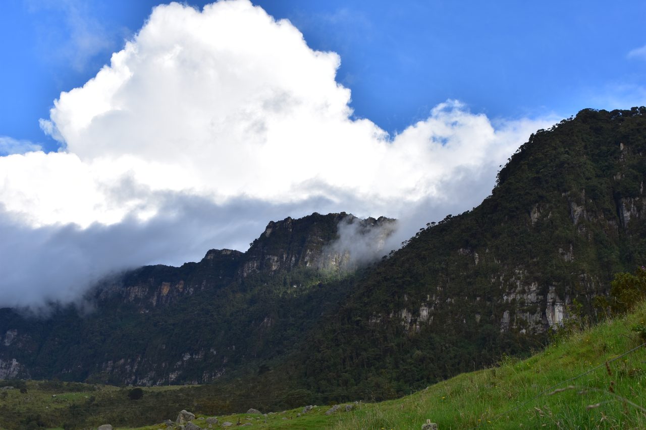Enjoy the natural wonders of the high Andean Cloud Forest at Cuchilla El Tablazo, Bogotá
