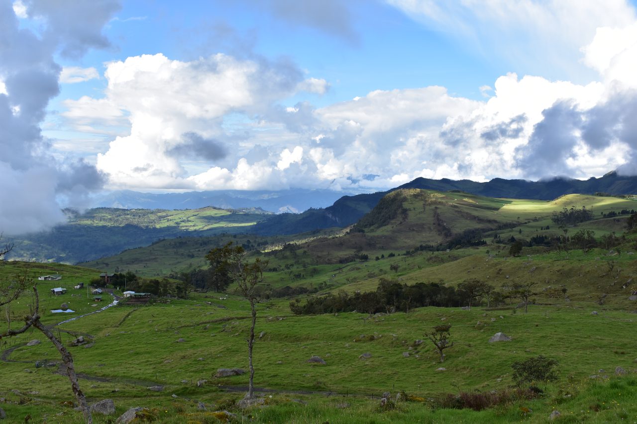 Enjoy the natural wonders of the high Andean Cloud Forest at Cuchilla El Tablazo, Bogotá