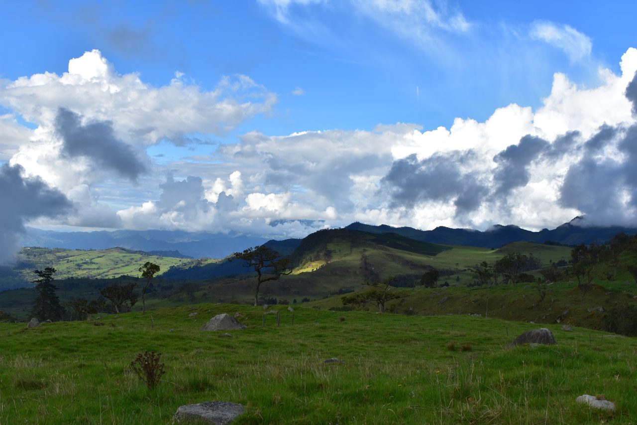 Enjoy the natural wonders of the high Andean Cloud Forest at Cuchilla El Tablazo, Bogotá