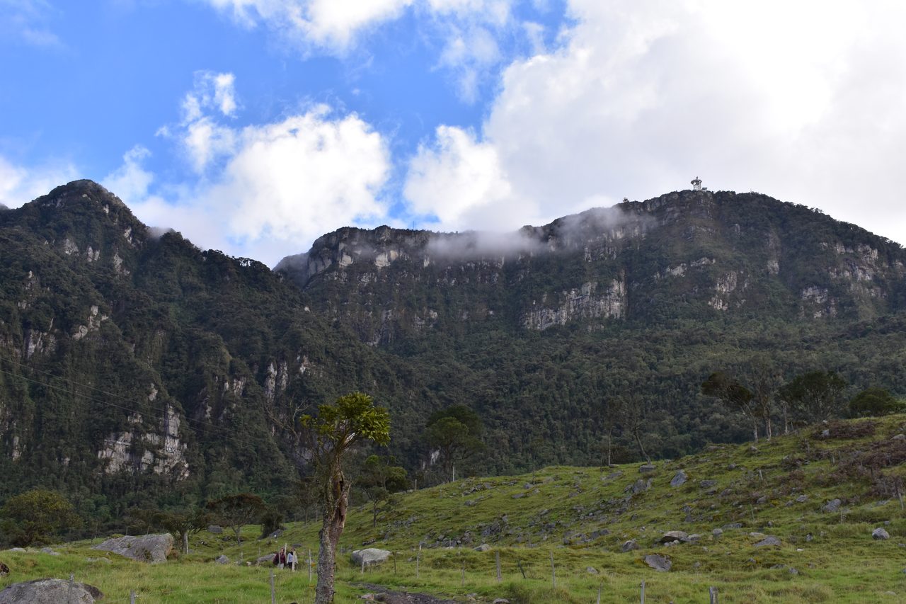 Enjoy the natural wonders of the high Andean Cloud Forest at Cuchilla El Tablazo, Bogotá