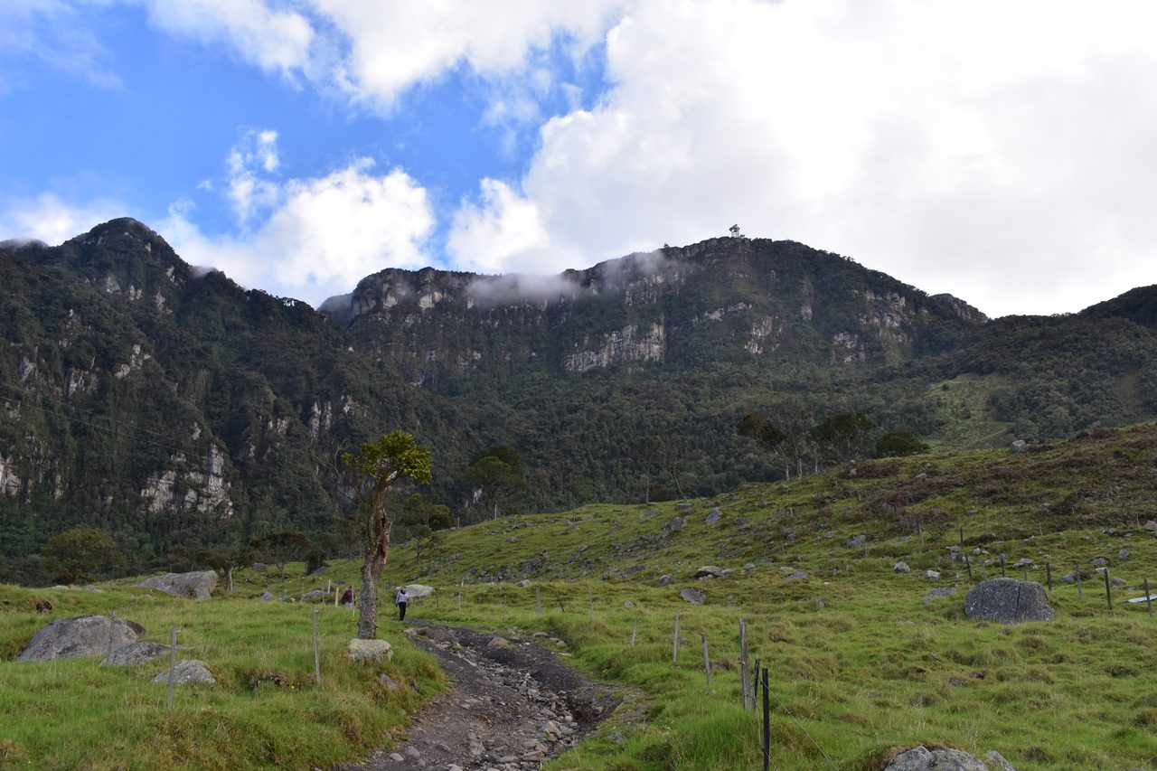 Enjoy the natural wonders of the high Andean Cloud Forest at Cuchilla El Tablazo, Bogotá