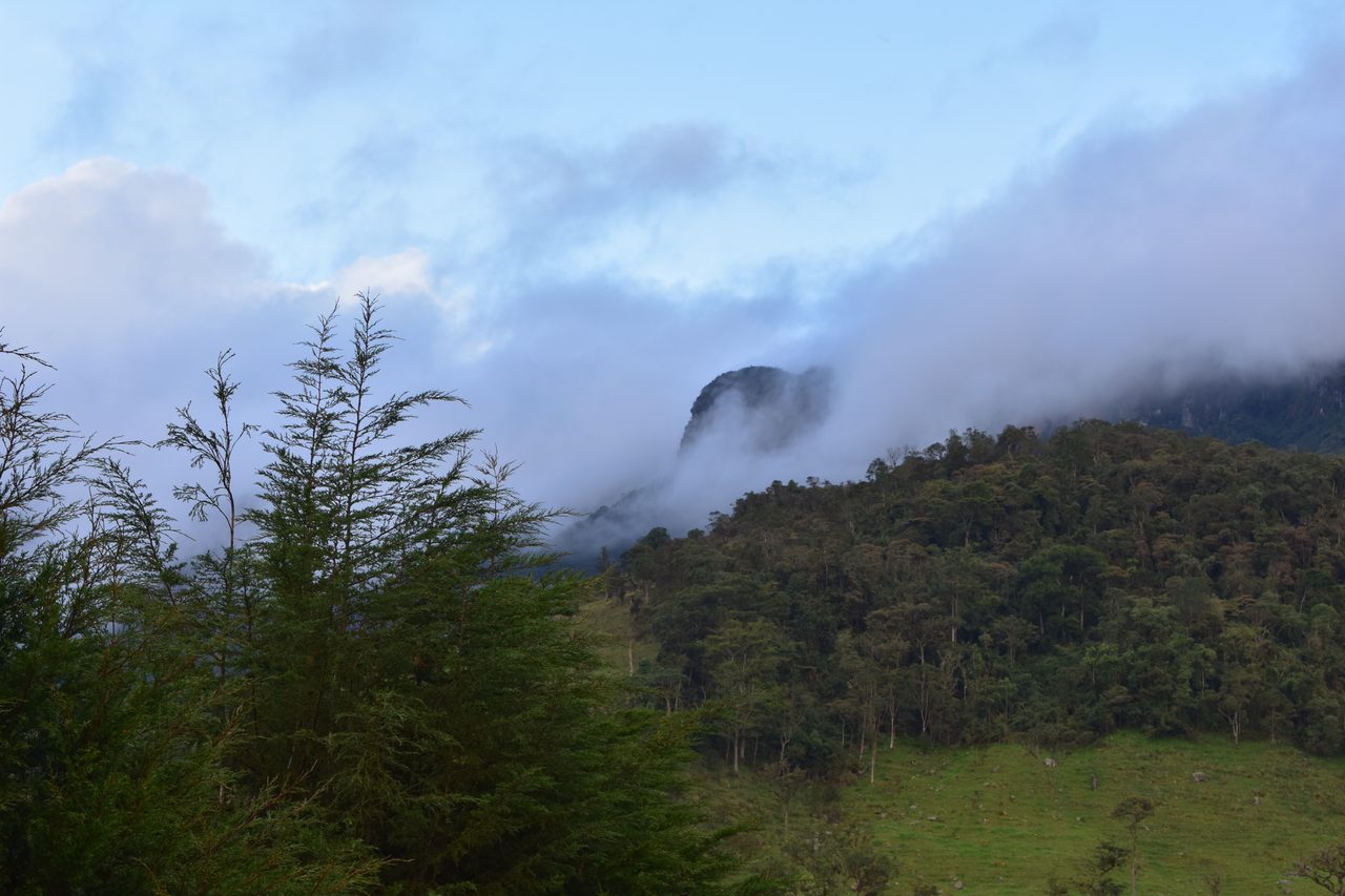Enjoy the natural wonders of the high Andean Cloud Forest at Cuchilla El Tablazo, Bogotá