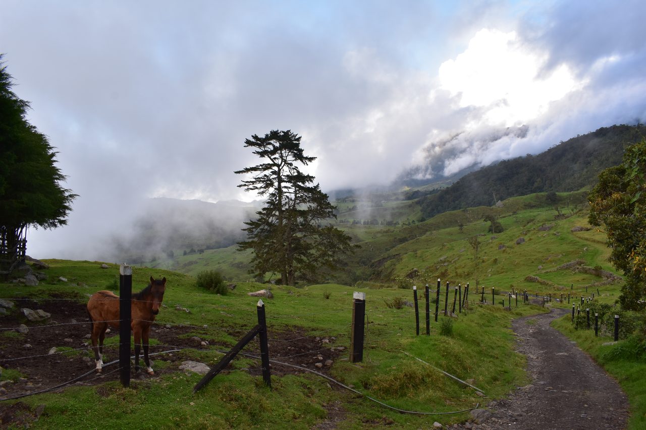Enjoy the natural wonders of the high Andean Cloud Forest at Cuchilla El Tablazo, Bogotá