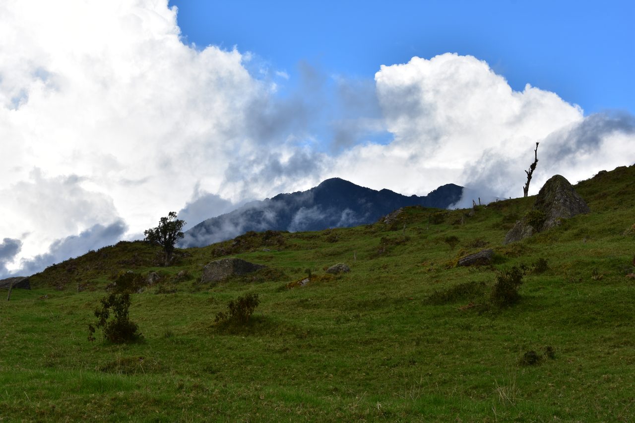Enjoy the natural wonders of the high Andean Cloud Forest at Cuchilla El Tablazo, Bogotá
