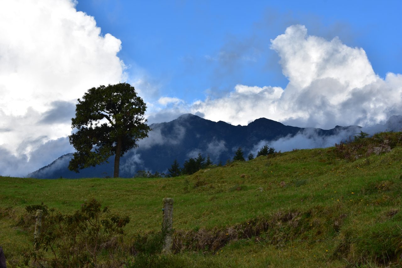 Enjoy the natural wonders of the high Andean Cloud Forest at Cuchilla El Tablazo, Bogotá