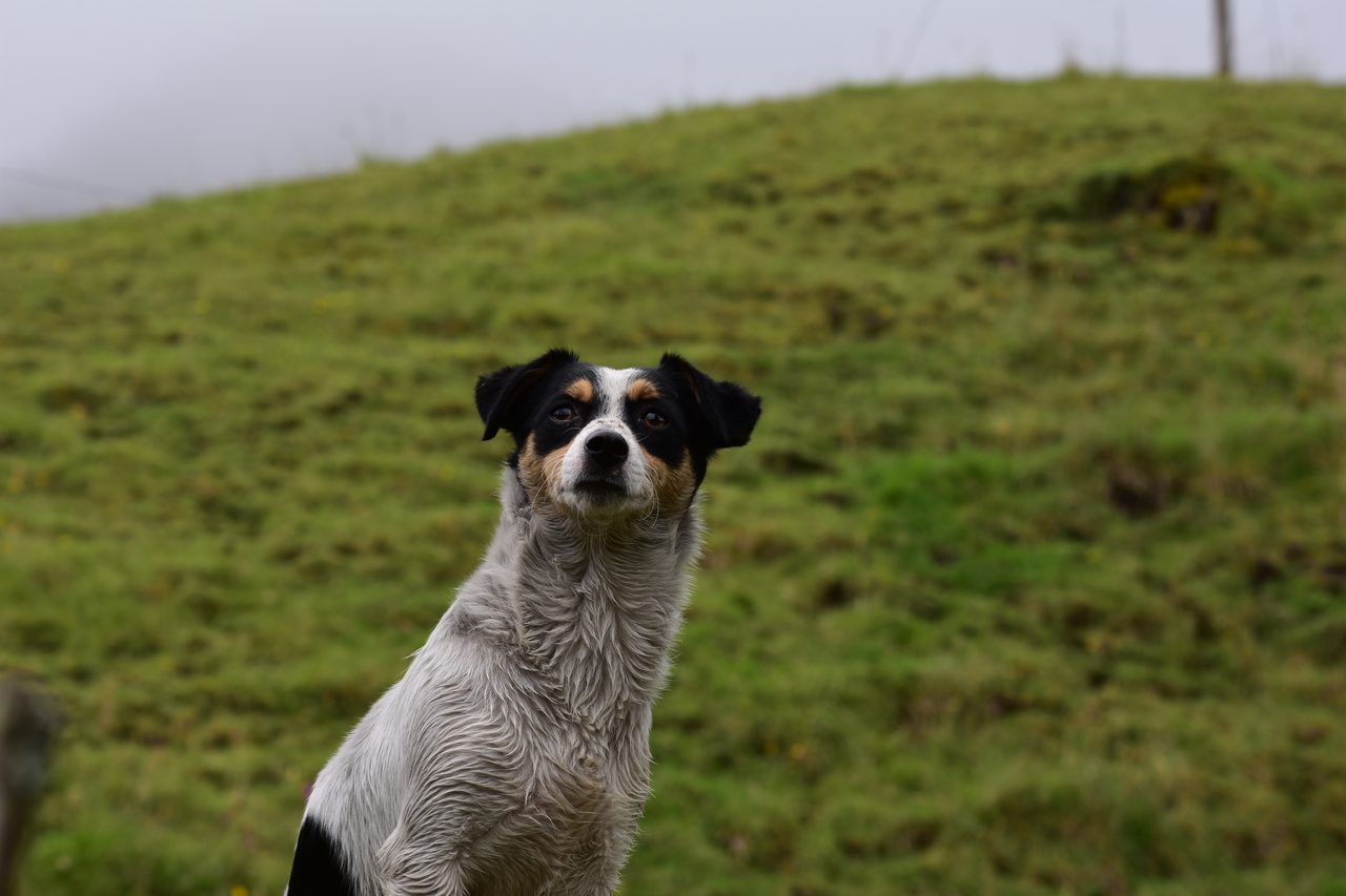 Trek to La Chorrera, Colombia's Highest Waterfall