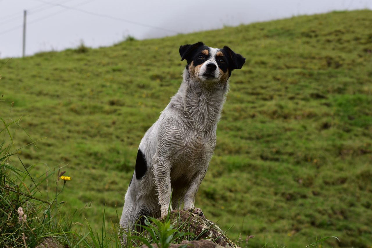 Trek to La Chorrera, Colombia's Highest Waterfall