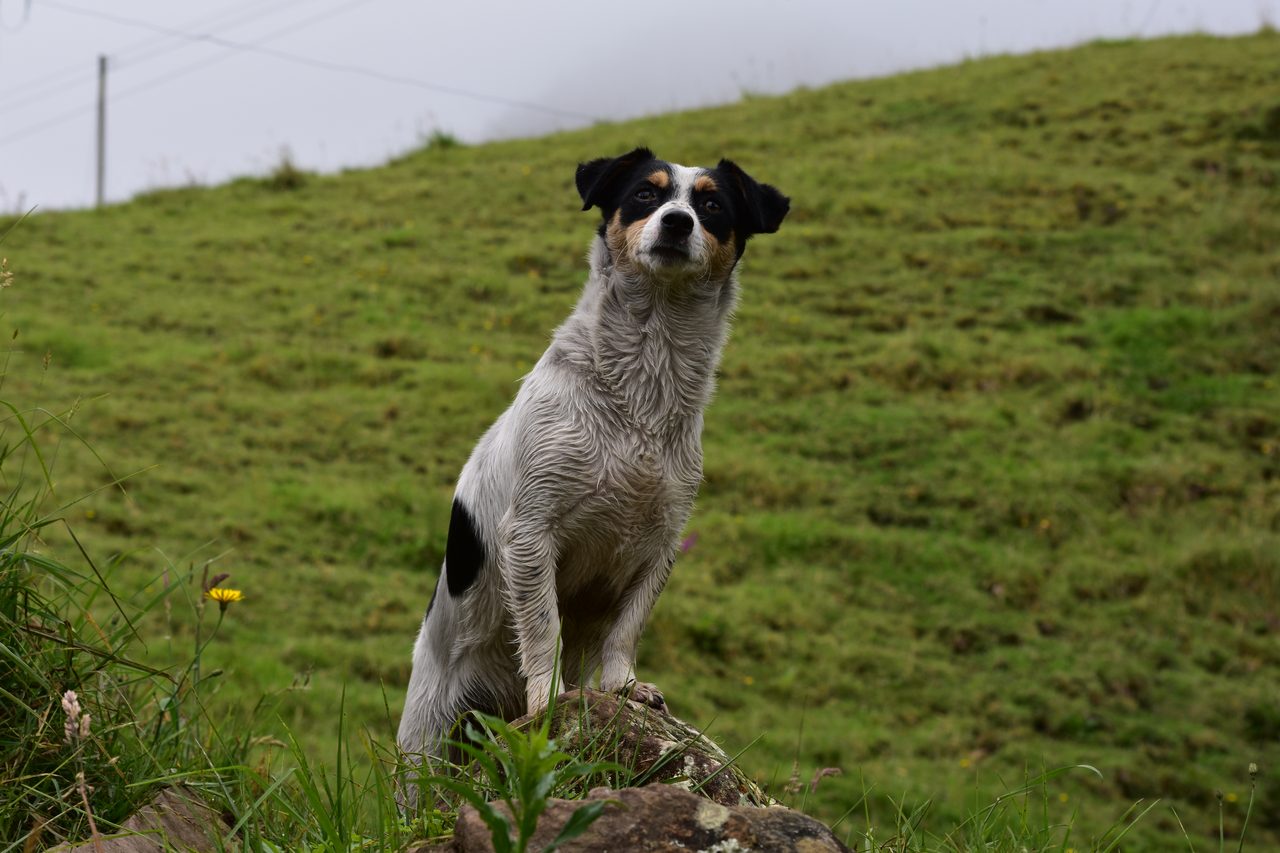 Trek to La Chorrera, Colombia's Highest Waterfall