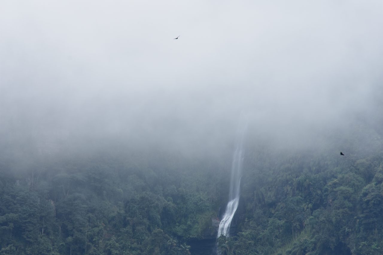 Trek to La Chorrera, Colombia's Highest Waterfall