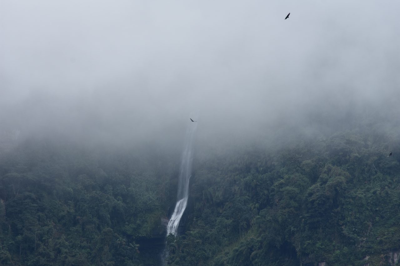 Trek to La Chorrera, Colombia's Highest Waterfall