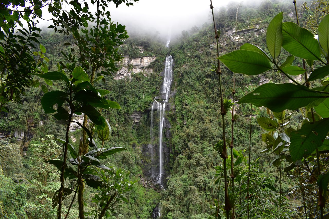 Trek to La Chorrera, Colombia's Highest Waterfall