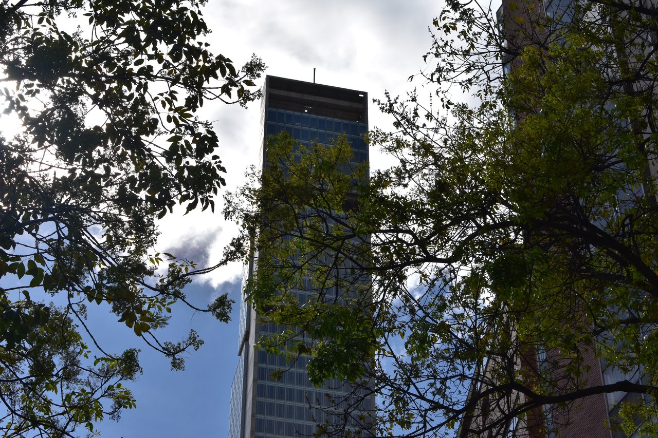 Bogotá Graffiti Tour