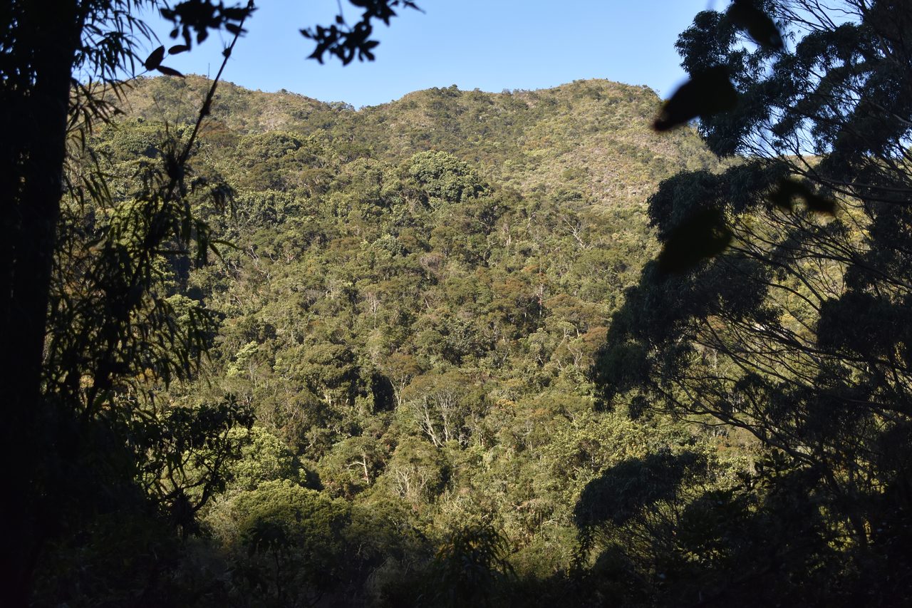 Hiking the Quebrada la Vija in the Cerros Orientales, Bogotá