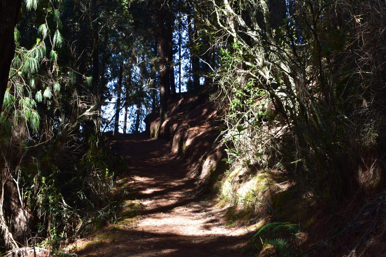 Hiking the Quebrada la Vija in the Cerros Orientales, Bogotá