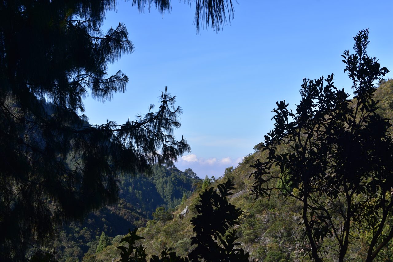 Hiking the Quebrada la Vija in the Cerros Orientales, Bogotá