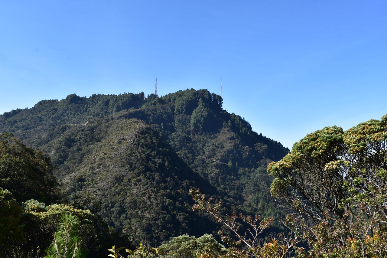 Hiking the Quebrada la Vija in the Cerros Orientales, Bogotá