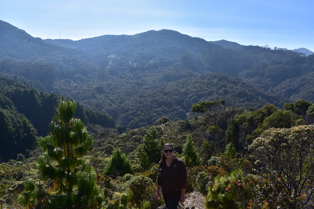 Hiking the Quebrada la Vija in the Cerros Orientales, Bogotá