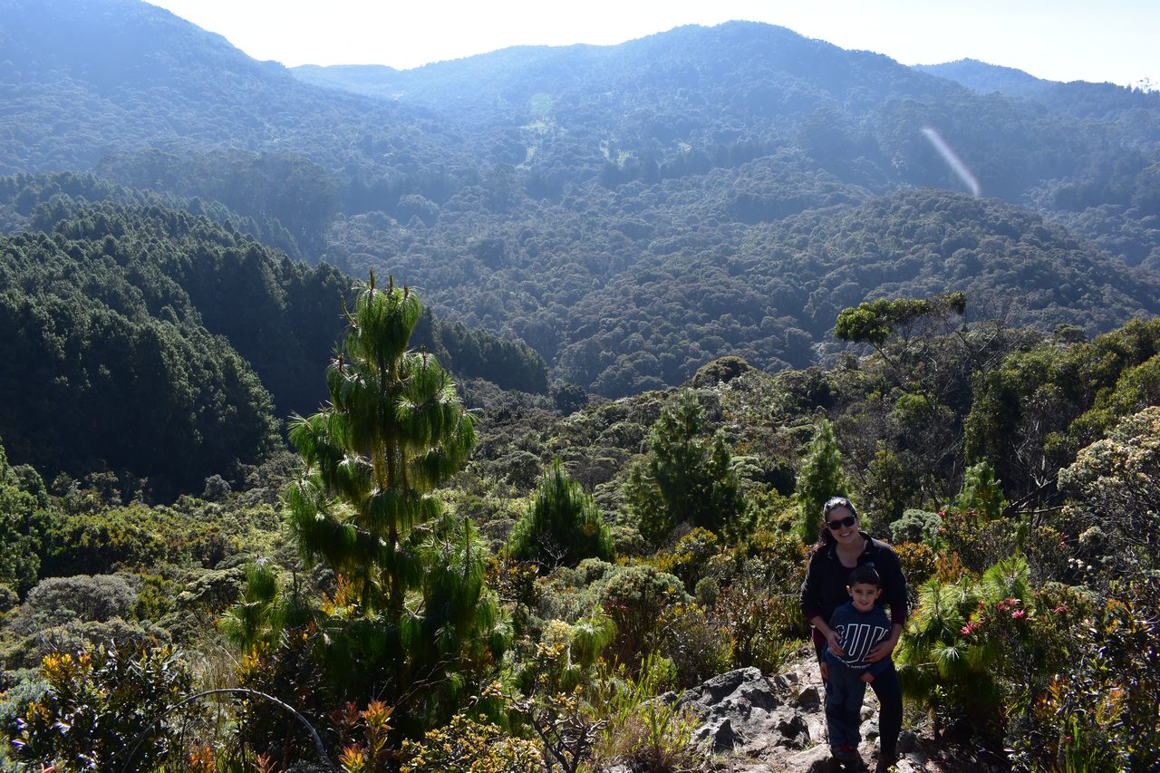 Hiking the Quebrada la Vija in the Cerros Orientales, Bogotá