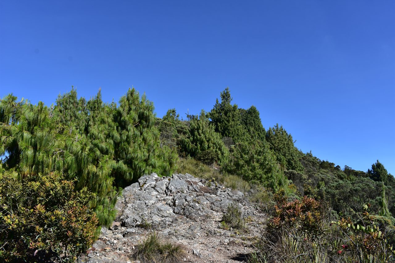 Hiking the Quebrada la Vija in the Cerros Orientales, Bogotá