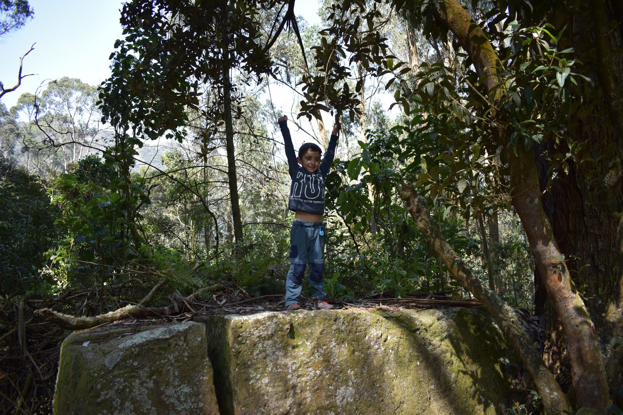 Hiking the Quebrada la Vija in the Cerros Orientales, Bogotá