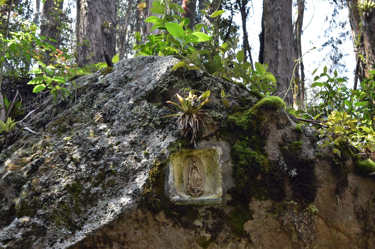 Hiking the Quebrada la Vija in the Cerros Orientales, Bogotá