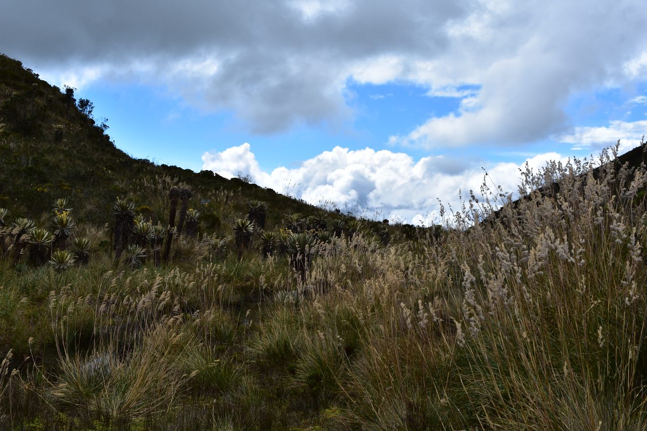 How to hike to Laguna de Iguaque and Mirador El Santo from Villa de Leyva
