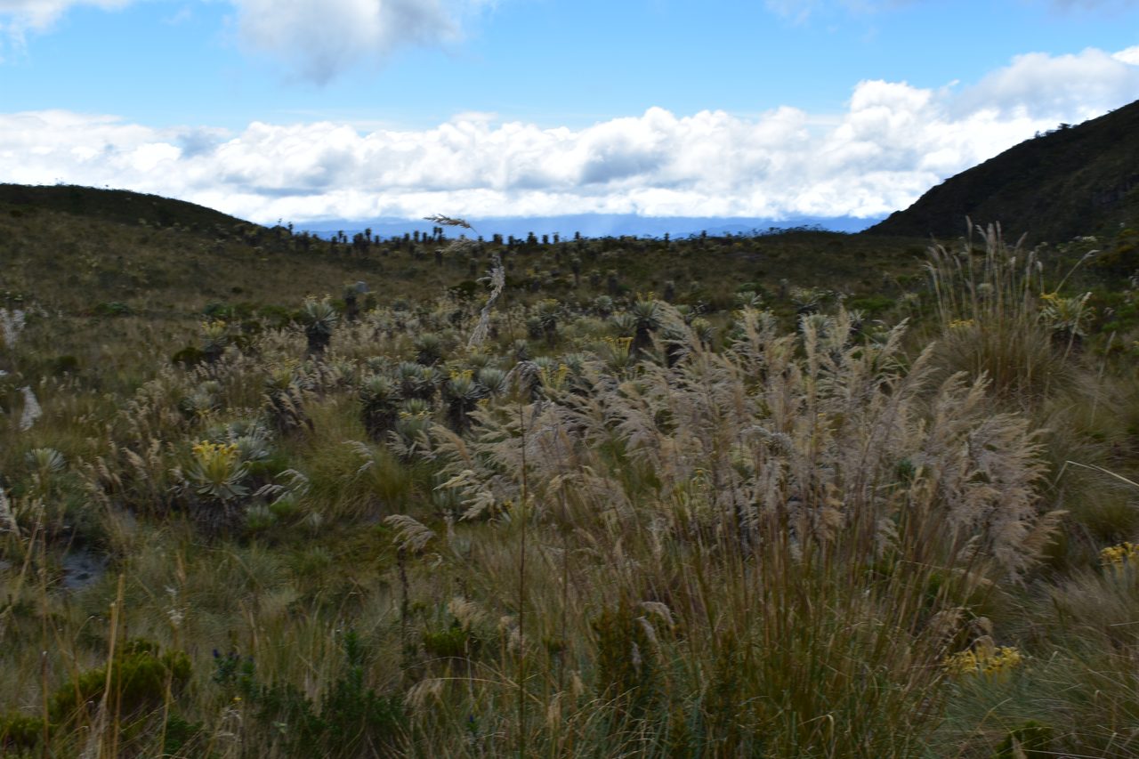 How to hike to Laguna de Iguaque and Mirador El Santo from Villa de Leyva