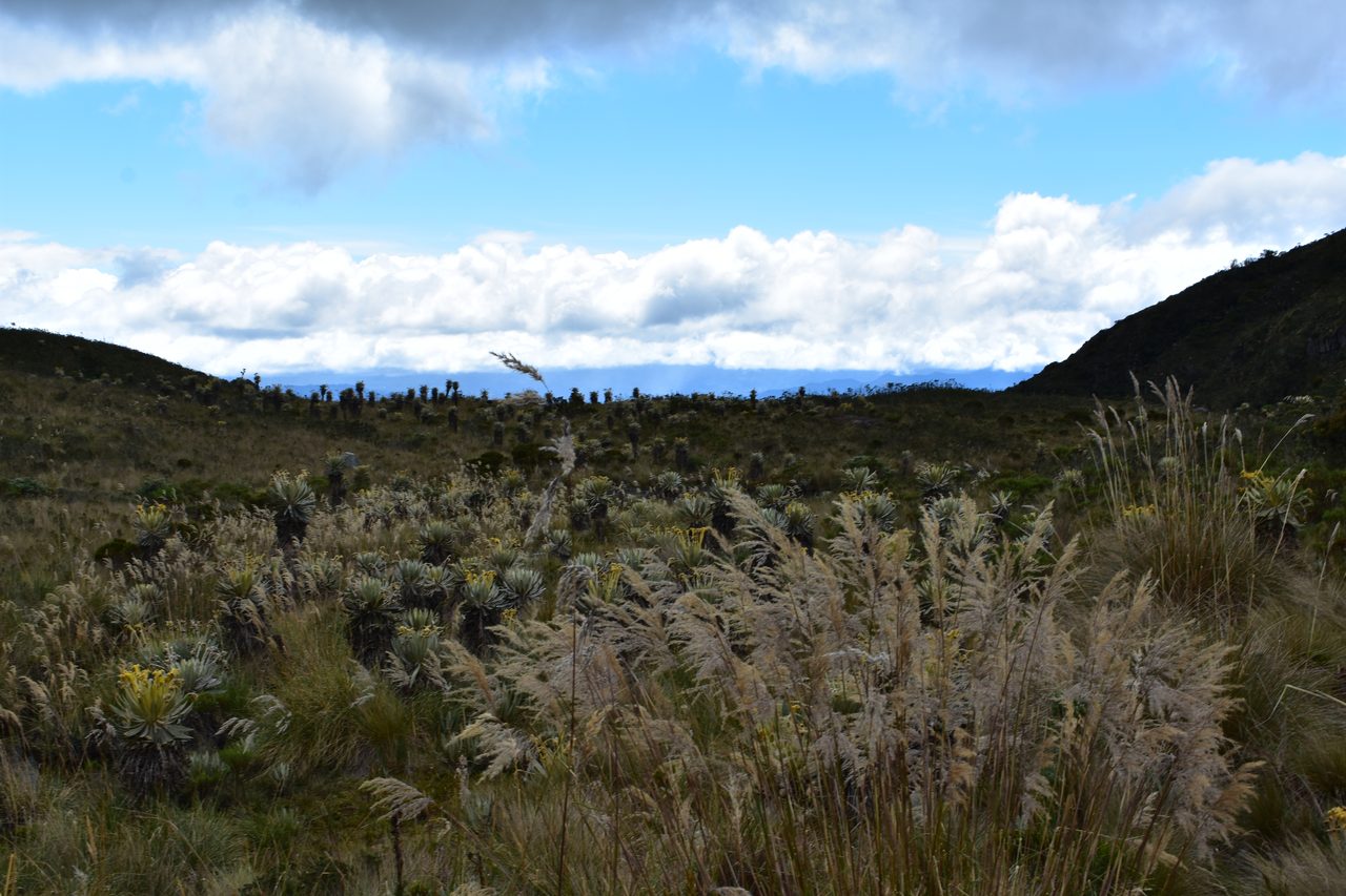 How to hike to Laguna de Iguaque and Mirador El Santo from Villa de Leyva