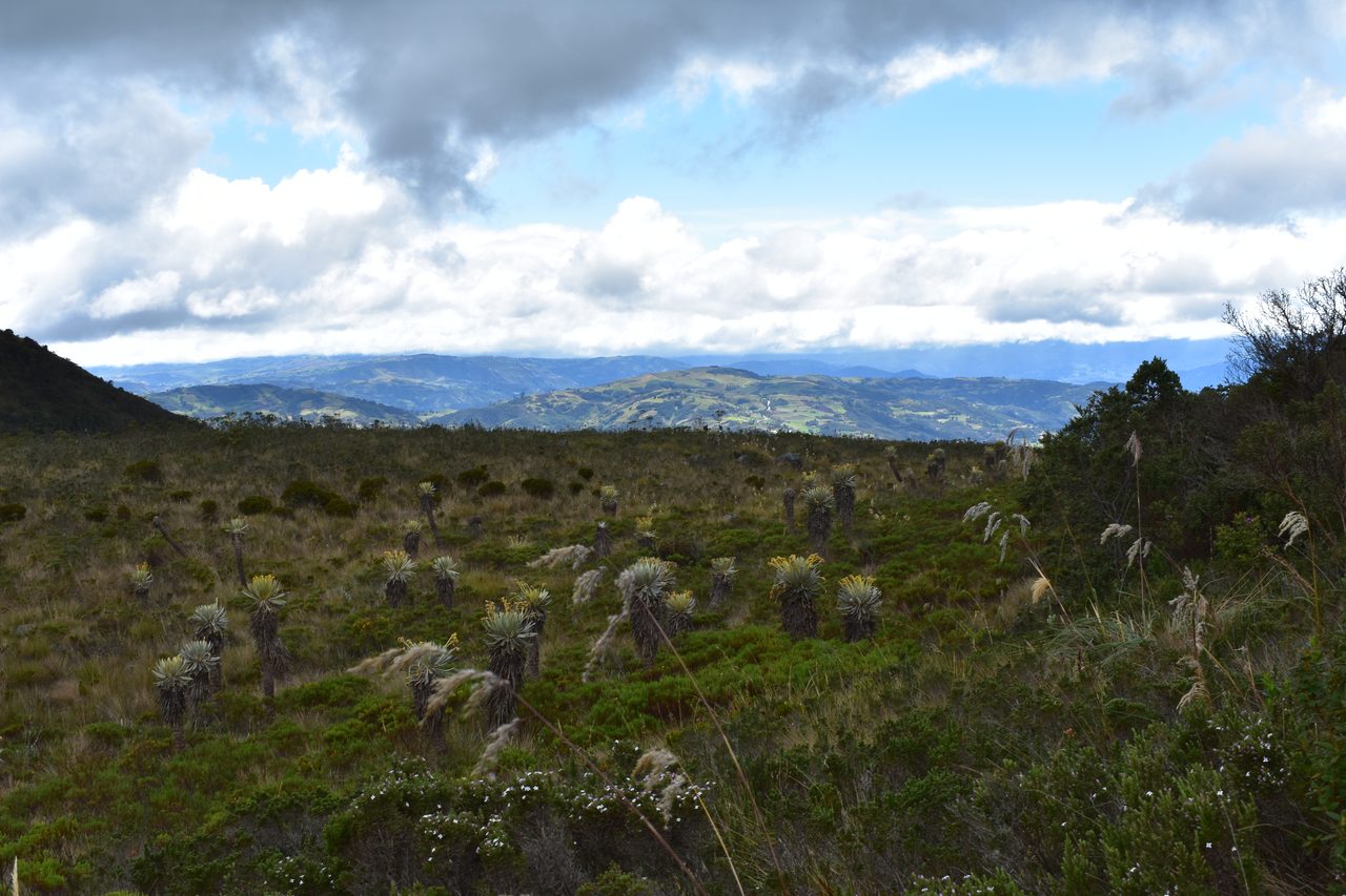 How to hike to Laguna de Iguaque and Mirador El Santo from Villa de Leyva