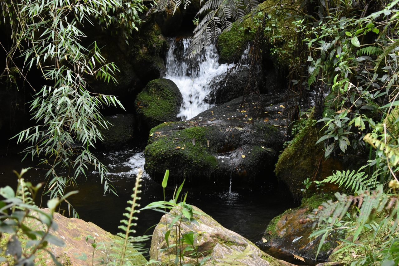 How to hike to Laguna de Iguaque and Mirador El Santo from Villa de Leyva