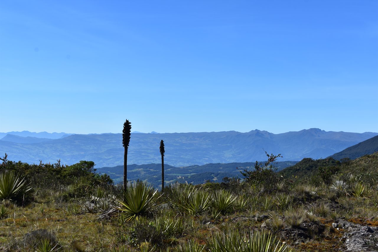 Plan a Day Trip to Parque Ecológico Matarredonda, Bogotá
