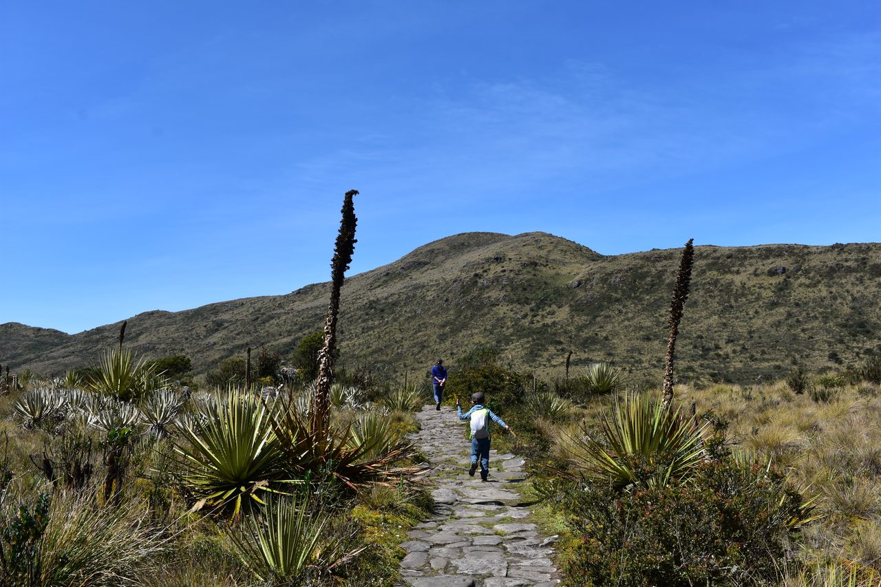 Plan a Day Trip to Parque Ecológico Matarredonda, Bogotá
