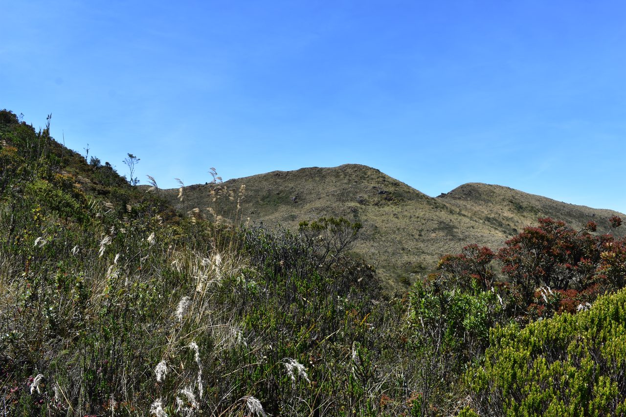Plan a Day Trip to Parque Ecológico Matarredonda, Bogotá