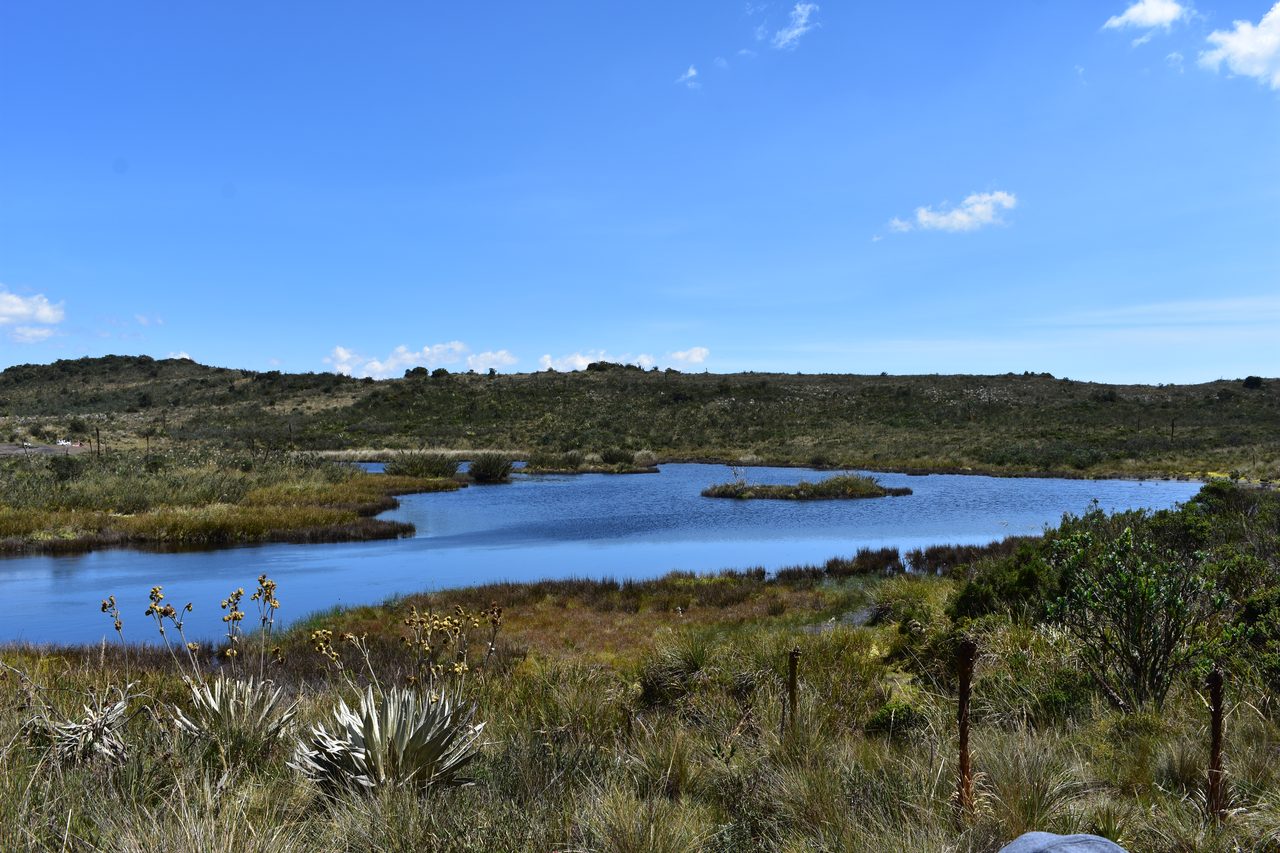 Plan a Day Trip to Parque Ecológico Matarredonda, Bogotá