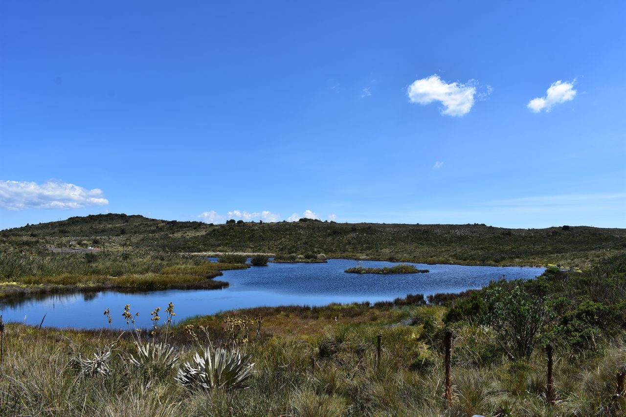 Plan a Day Trip to Parque Ecológico Matarredonda, Bogotá