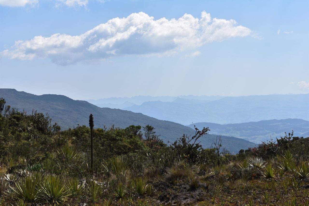 Plan a Day Trip to Parque Ecológico Matarredonda, Bogotá
