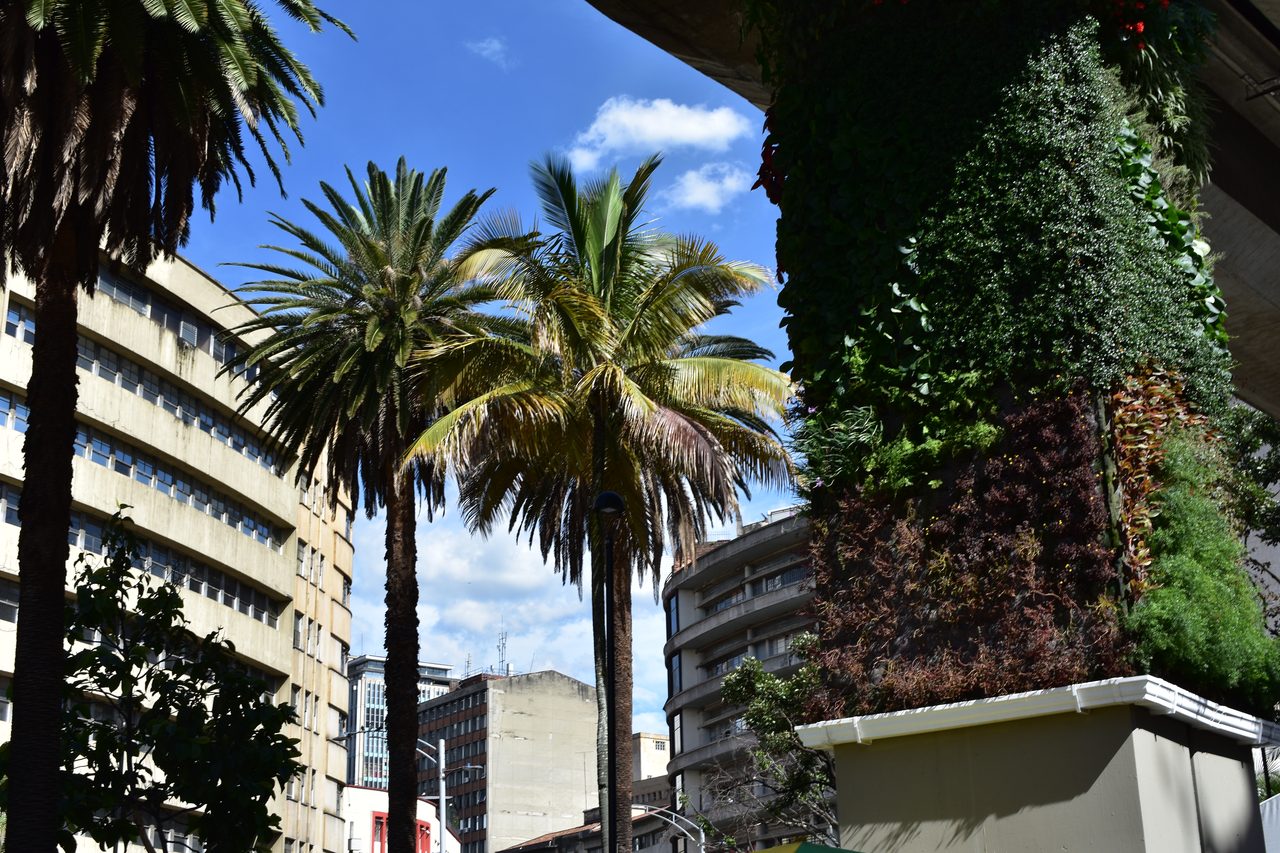 Medellín