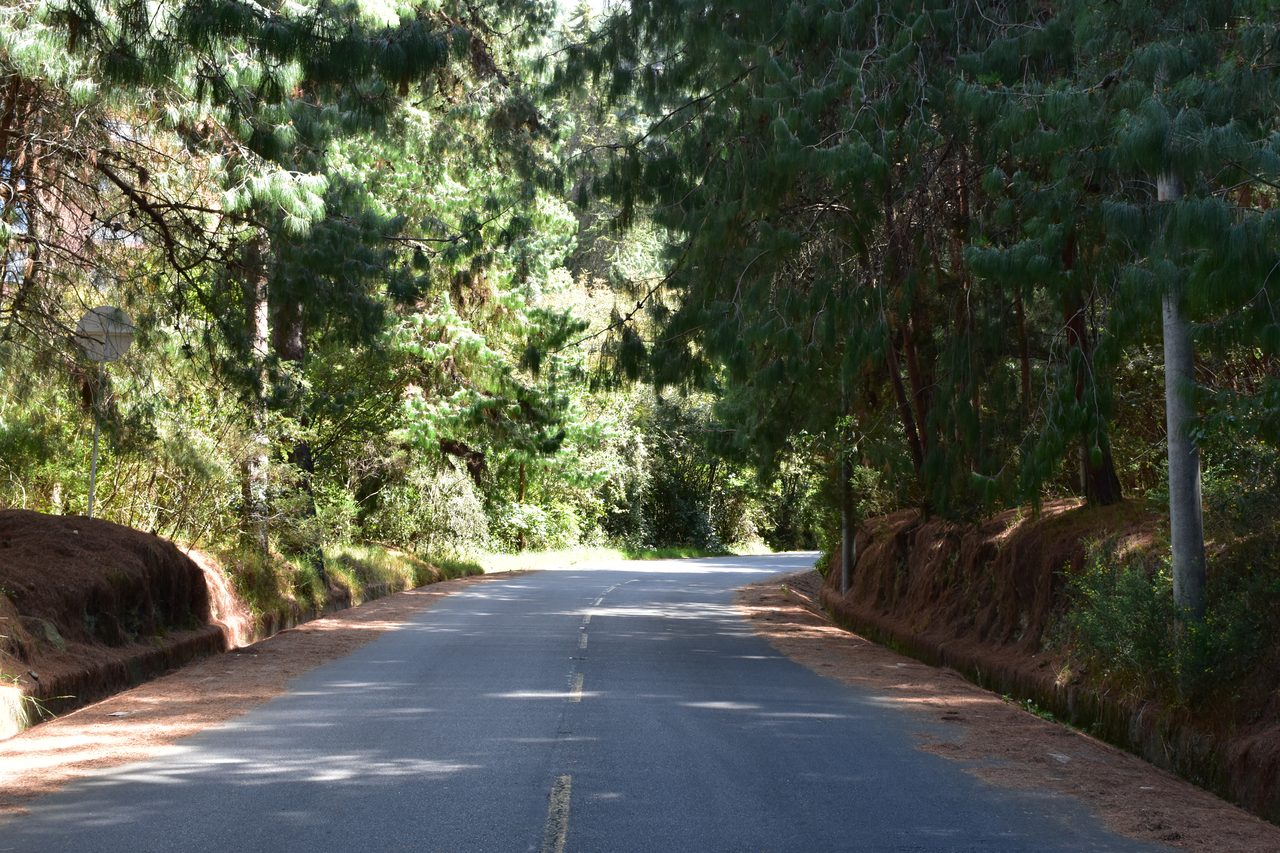 Take the short hike up to the Mirador Aguadora on a weekend morning, Usaquén, Bogotá