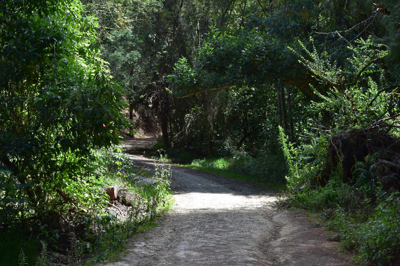 Take the short hike up to the Mirador Aguadora on a weekend morning, Usaquén, Bogotá