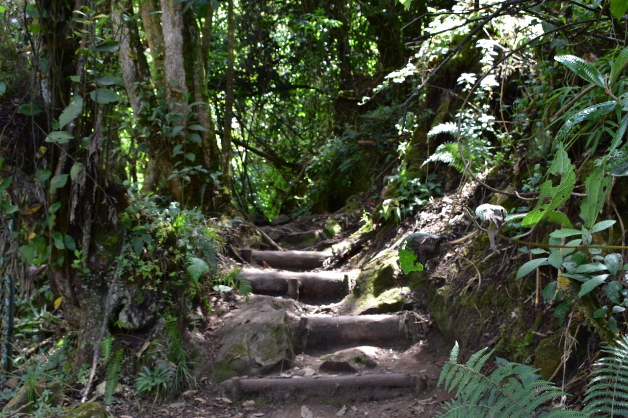 Take the short hike up to the Mirador Aguadora on a weekend morning, Usaquén, Bogotá