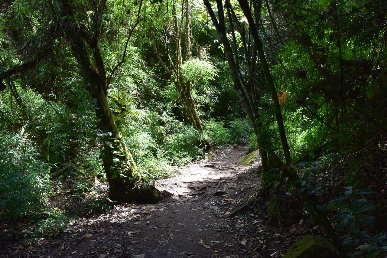 Take the short hike up to the Mirador Aguadora on a weekend morning, Usaquén, Bogotá