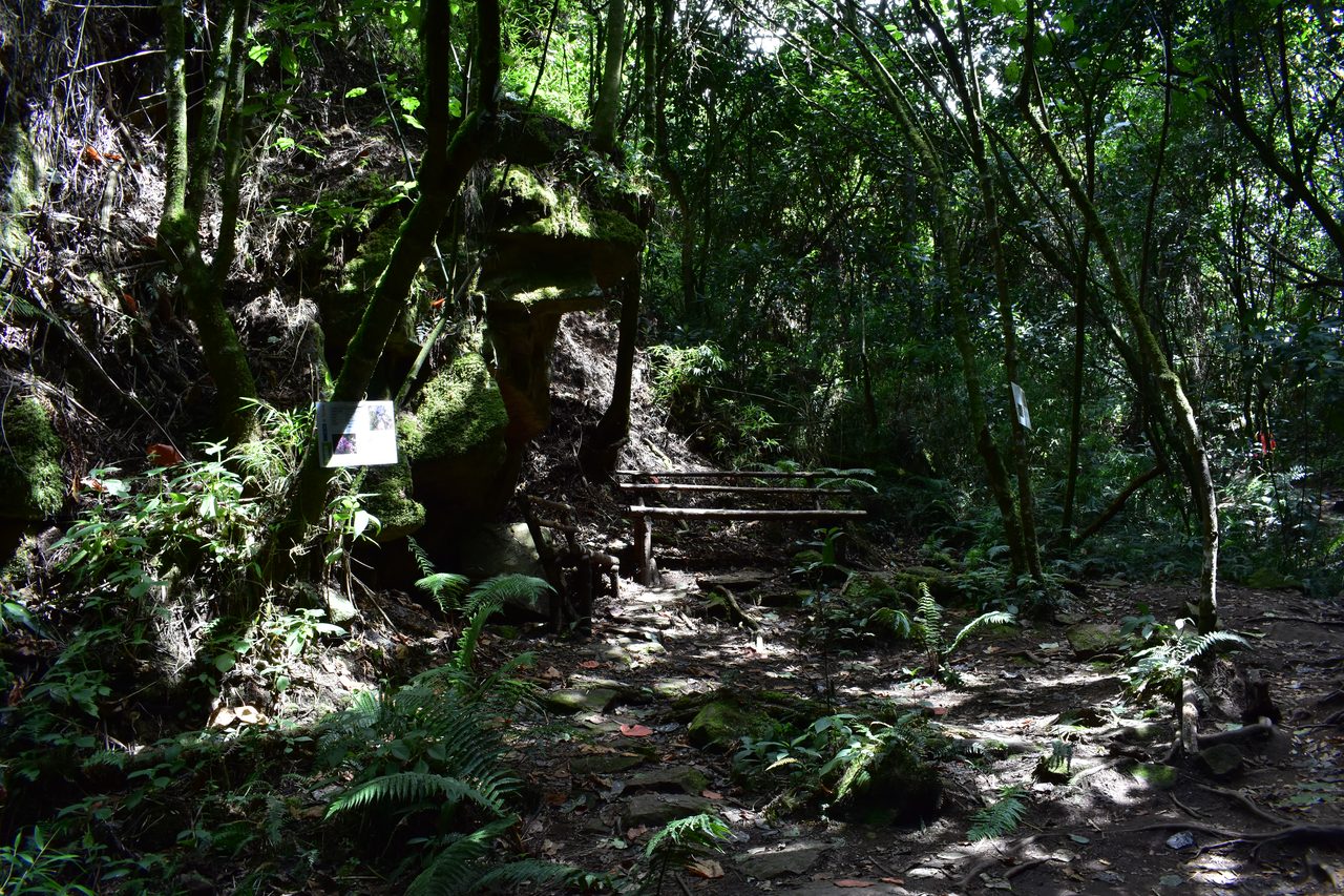 Take the short hike up to the Mirador Aguadora on a weekend morning, Usaquén, Bogotá