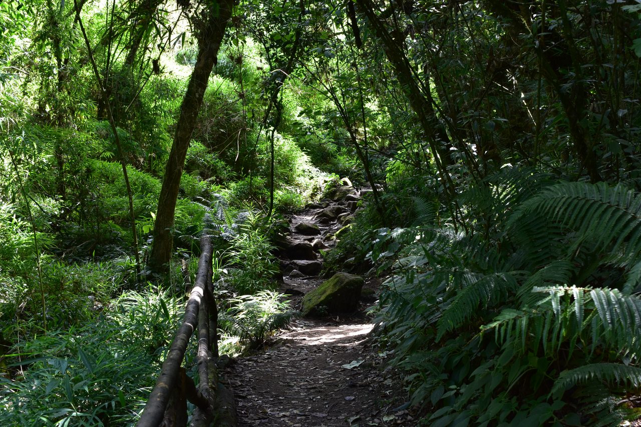 Take the short hike up to the Mirador Aguadora on a weekend morning, Usaquén, Bogotá