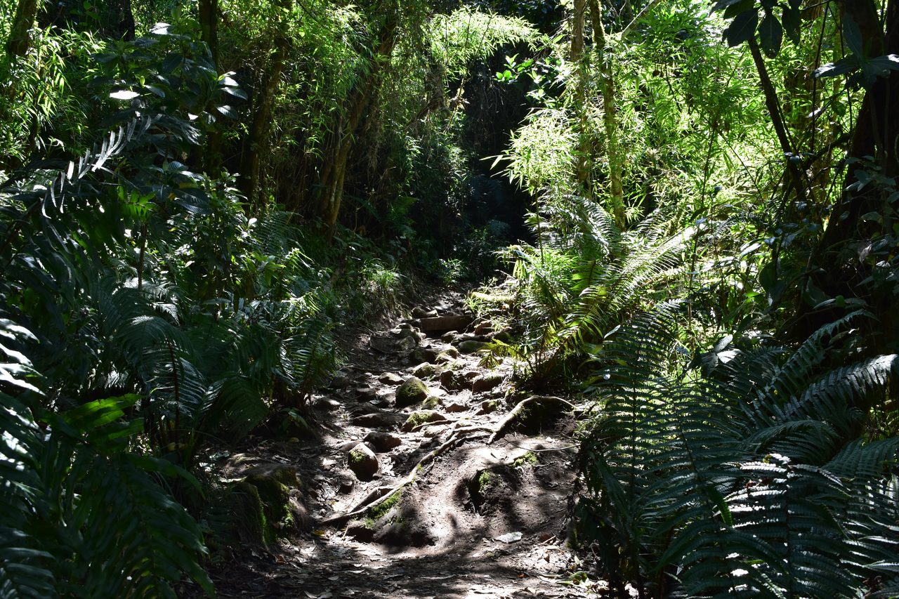 Take the short hike up to the Mirador Aguadora on a weekend morning, Usaquén, Bogotá