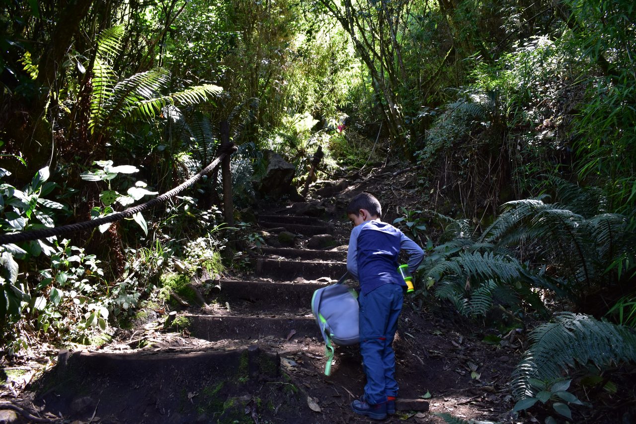 Take the short hike up to the Mirador Aguadora on a weekend morning, Usaquén, Bogotá