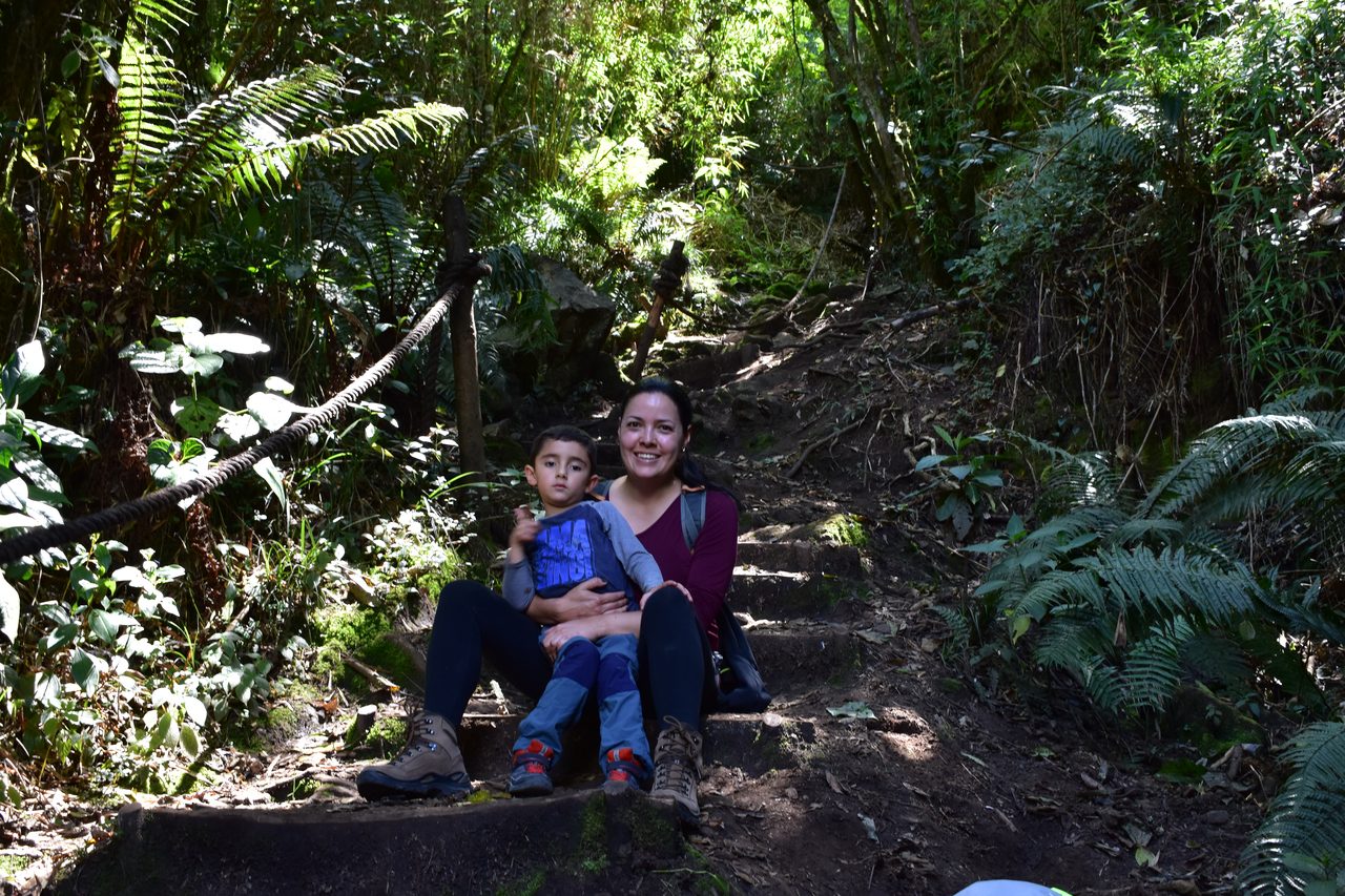 Take the short hike up to the Mirador Aguadora on a weekend morning, Usaquén, Bogotá