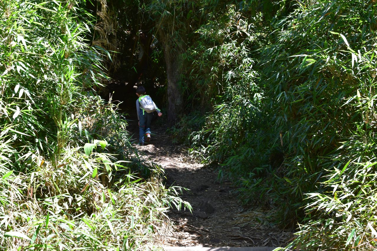 Take the short hike up to the Mirador Aguadora on a weekend morning, Usaquén, Bogotá