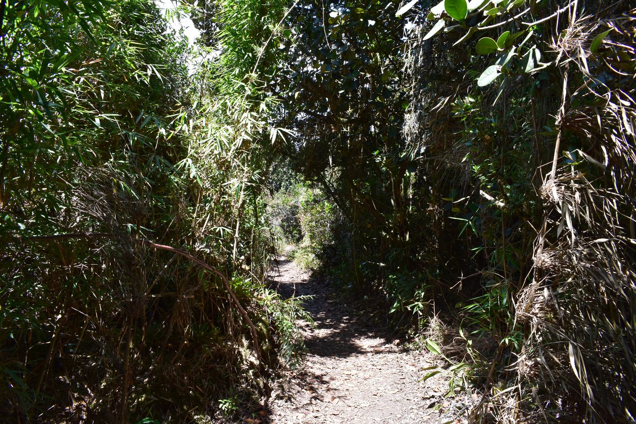 Take the short hike up to the Mirador Aguadora on a weekend morning, Usaquén, Bogotá