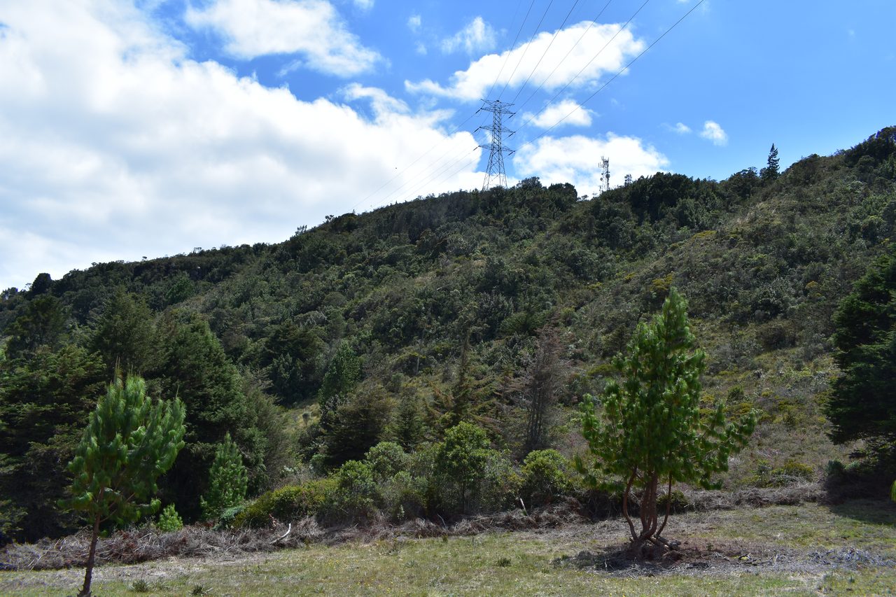 Take the short hike up to the Mirador Aguadora on a weekend morning, Usaquén, Bogotá